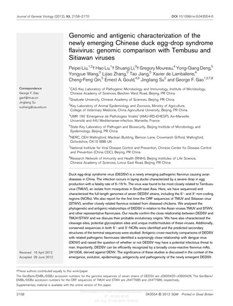 china duck flavivirus disease|Genomic and antigenic characterization of the newly emerging .